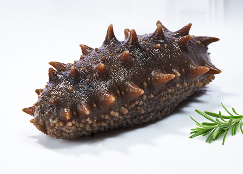 海鲜攻略鲜食海参